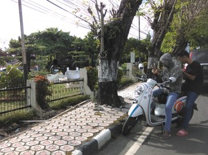 Demam Pokemon Go di Pangkalpinang, Museum hingga Rumdin Wali Kota Jadi Sasaran