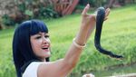 Hiii... Julia Perez Main-main dengan Ular Sanca