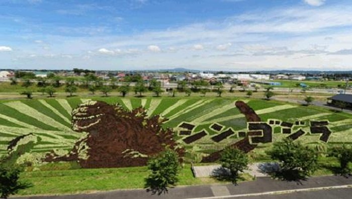 Godzilla Muncul di Tengah Sawah Jepang