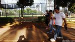 Berburu Pokemon di GBK
