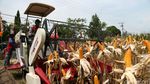 Mentan Panen Jagung di Mojokerto