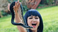 Julia Perez tampak sangat bahagia pada momen tersebut. Pool/Gus Mun/detikFoto.