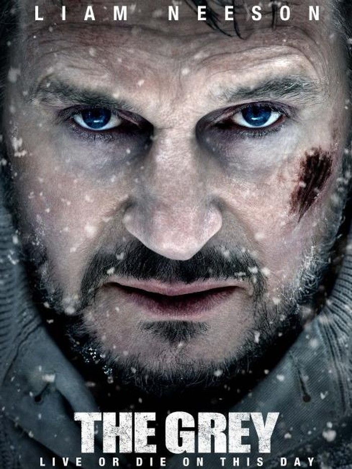 Liam Neeson versus Serigala di Bioskop Trans TV Malam Ini
