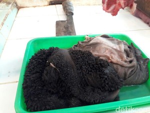 Di Australia Jeroan Jadi Makanan Hewan, Kenapa di RI Mahal?