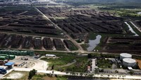 Sejak 2013, IKPP Perawang telah menggunakan 100 persen bahan baku dari hutan tanaman industri (HTI) sesuai dengan peta jalan APP Forest Conservation Policy 2020.