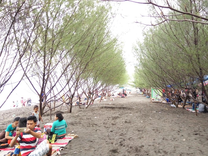 Hari Terakhir Liburan Pantai Cemara Banyuwangi Dipadati Pengunjung