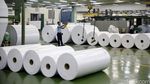 Melihat Produksi Kertas di Indah Kiat Pulp and Paper