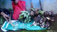 Hasil bumi yang dibawa di antaranya adalah pisang, singkong, talas, dan sebagainya.
