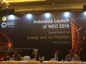 RI Bisa Jadi Contoh Bagi Reformasi Energi