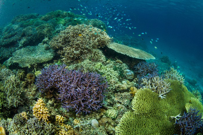 Foto: (Thinkstock) Foto: (Thinkstock)