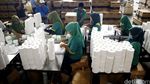 Melihat Pabrik Tisu Pindo Deli Pulp and Paper Mills