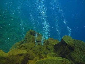 8 Fakta Gunung Bawah Laut yang Ditemukan di Perairan Pacitan