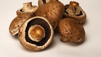 Jamur portobello punya payung jamur lebar dan tebal. Rasanya ‘meaty’ dan juicy, enak diolah dengan dipanggang atau ditumis.Foto: iStock