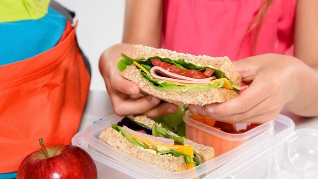 Close up on pair of young girl's hands removing a healthy wholesome wholemeal bread ham sandwich from her lunch box during breaktime