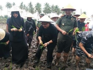 Festival Padi Awali Ritual Musim Tanam di Banyuwangi