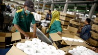 Tisu-tisu yang telah dibungkus dengan plastik dimasukkan ke kardus.