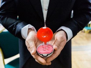 8 Ide Tema Pernikahan Unik dengan Detail Pokemon