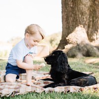 Untuk ulang tahun ketiga, Pangeran George dipotret bersama anjing kesayang keluarga.  (Foto: Twitter/KensingtonPalace)