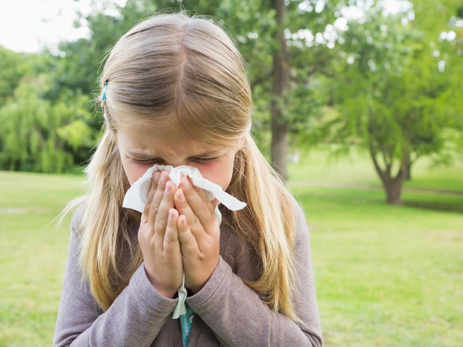 Bahaya Menahan Bersin: Pembuluh Darah Pecah Hingga Sobek Gendang Telinga