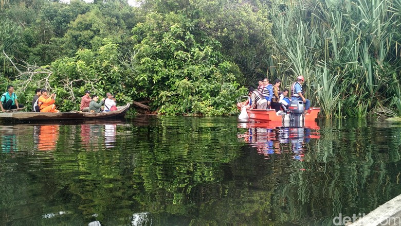 Menelusuri Taman Nasional Zamrud Riau Aset Lingkungan Yang