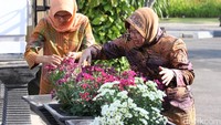 Wali Kota Surabaya Tri Rismaharini (Risma) didampingi stafnya menata tanaman hias.