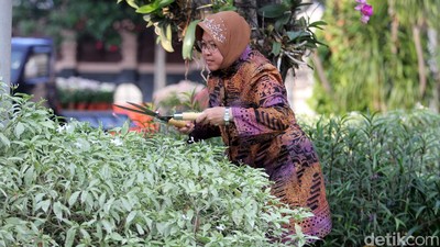 Risma Pastikan Panggung Welcome Dinner Prepcom III Aman