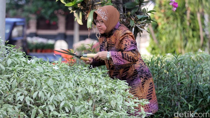 PPP Minta Kesediaan Risma Maju Jadi Penantang Ahok