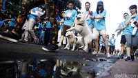 Tak hanya membawa keluarga, ada juga yang membawa hewan piaraannya seperti anjing.