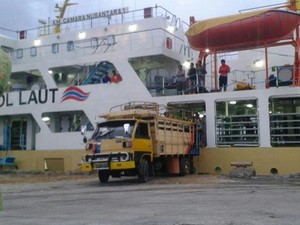 Kapal Ternak Tiba Minggu Pagi di Priok, Angkut 471 Sapi