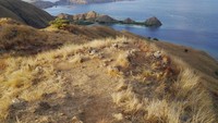 Saat musim kering, rerumputan di pulau warnanya tampak kuning kecoklatan. Cantik juga untuk difoto (Kurnia/detikTravel)