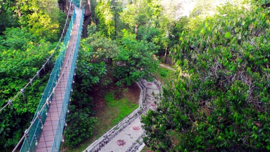  Kanopi  Hutan  canopi murah