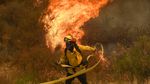 Taman Nasional Los Angeles Terbakar