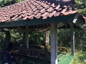 Harmonisnya Muslim & Hindu di Lombok Berbagi Tempat Ziarah