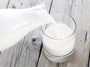 Menghindari Susu karena Alasan Kesehatan? Ini Faktanya Menurut Pakar Diet