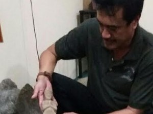 Arca Semar Era Prasejarah Ditemukan di Situs Pelabuhan Ratu