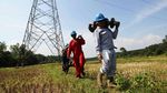 Melihat Aksi Petugas PLN Ganti Isolator SUTET