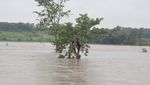 Banjir Dahsyat Terjang Nepal