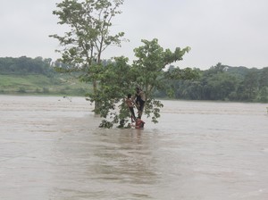 Banjir Tewaskan 58 Orang di Nepal, 1 Juta Warga di India Mengungsi