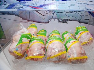 Perluas Pengetahuan Pangan, FAO Indonesia Kampanyekan Ayam Sehat