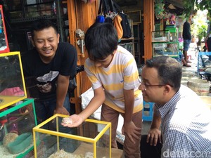Sehari Tak Jadi Mendikbud, Anies Antar Anak Beli Hamster di Pasar Barito