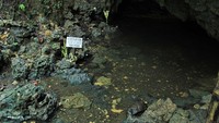 Terletak di dalam Cagar Alam Pangandaran, ada Gua Cirengganis yang punya mata air. Masyarakat setempat percaya, kalau airnya berkhasiat dan dapat membuat awet muda (Randy/detikTravel)