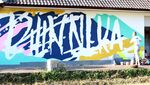 Mural-mural Hasil Para Seniman di Bali Street Art Festival 2016