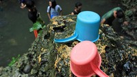Selain dikenal sebagai tempat semadi Raden Siliwangi, Gua Cirengganis lebih dikenal akan air yang dipercaya bisa membuat awet muda. Saat saya berkunjung, memang cukup banyak wisatawan yang membasuh dirinya di air awet muda tersebut (Randy/detikTravel)