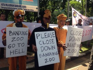 Aktivis Desak Pemkot Ambil Alih Pengelolaan Kebun Binatang Bandung