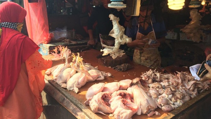 Harga Ayam Tinggi, Pedagang Terpaksa Jual Rugi