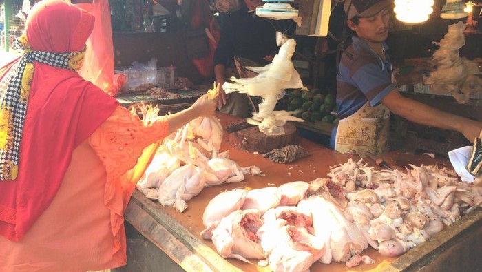 Hingga Akhir Juli, Harga Ayam Masih Tinggi Rp 40.000/Ekor