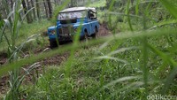 Ada akan ditantang untuk melewati berbagai medan di hutan ini.