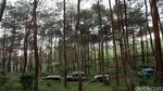 Mencoba Offroad di Hutan Tangkuban Perahu