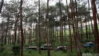 Hutan pinus yang rindang membuat kegiatan offroad semakin asyik.