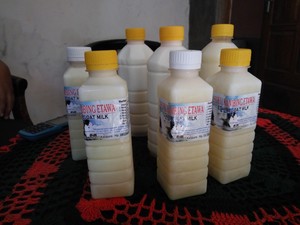 11 Manfaat Susu Kambing Etawa, Menyehatkan Kulit hingga Jantung